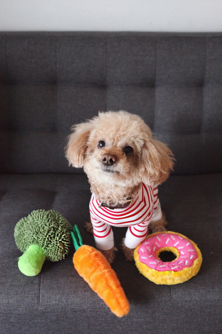 PET TOYS- Durable & Fun for all Pets