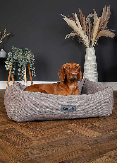 PET BEDDING & HABIT- Comfort & Safety for Pets