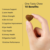 Dog Multivitamin for Support Digestion