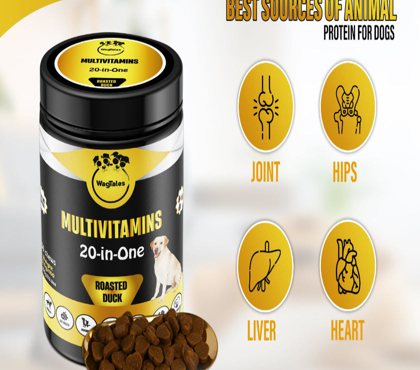 Dog Multivitamin, Chewable