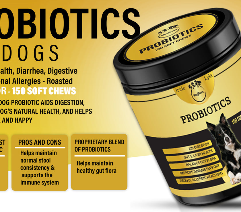 Dog Vitamins (Probiotics )