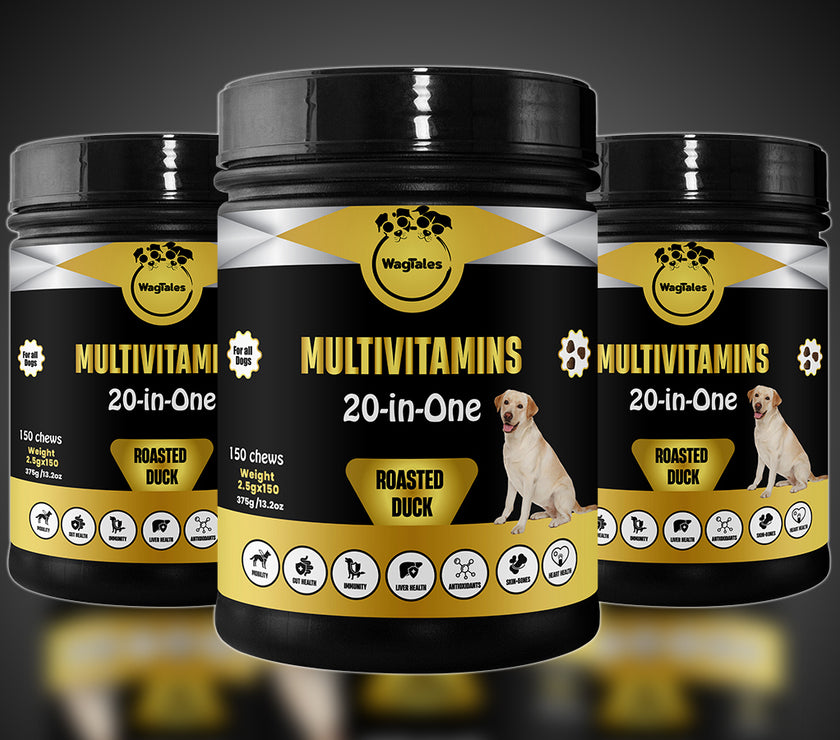 Dog Multivitamin, Chewable