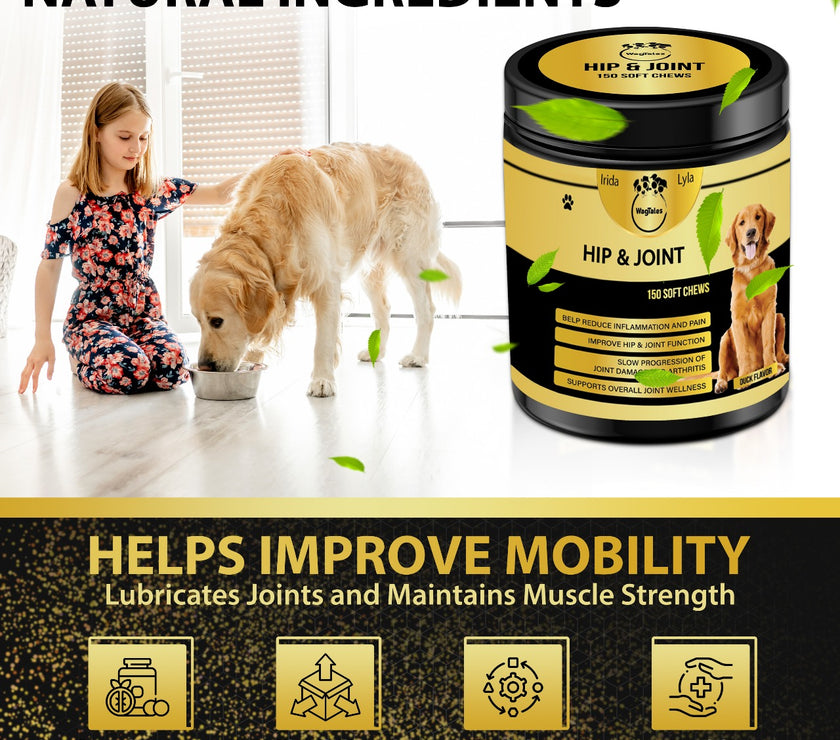 WagTales | Hip and Joint Health | Dog Joint Supplement Health