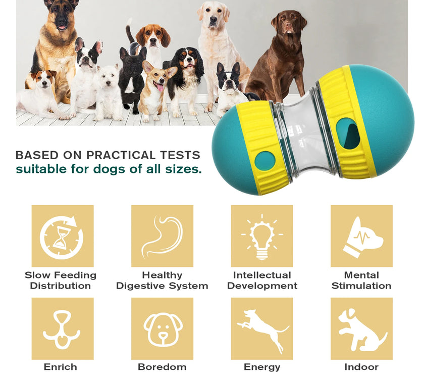 Interactive Dog Toys