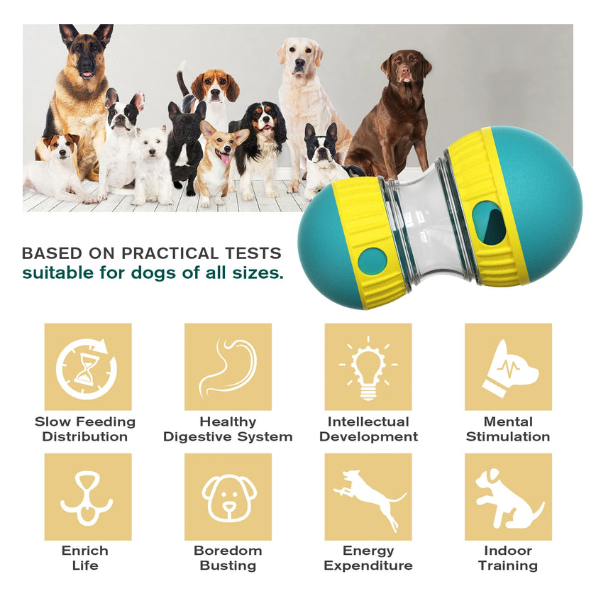 Interactive Dog Toys