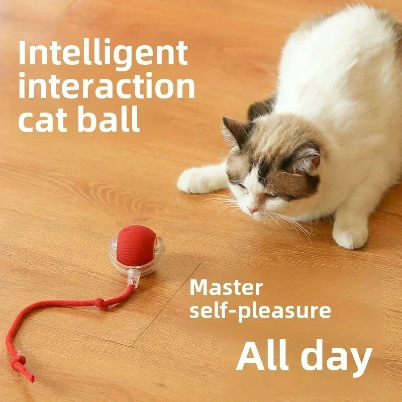 Interactive Dog Toys Rechargeable