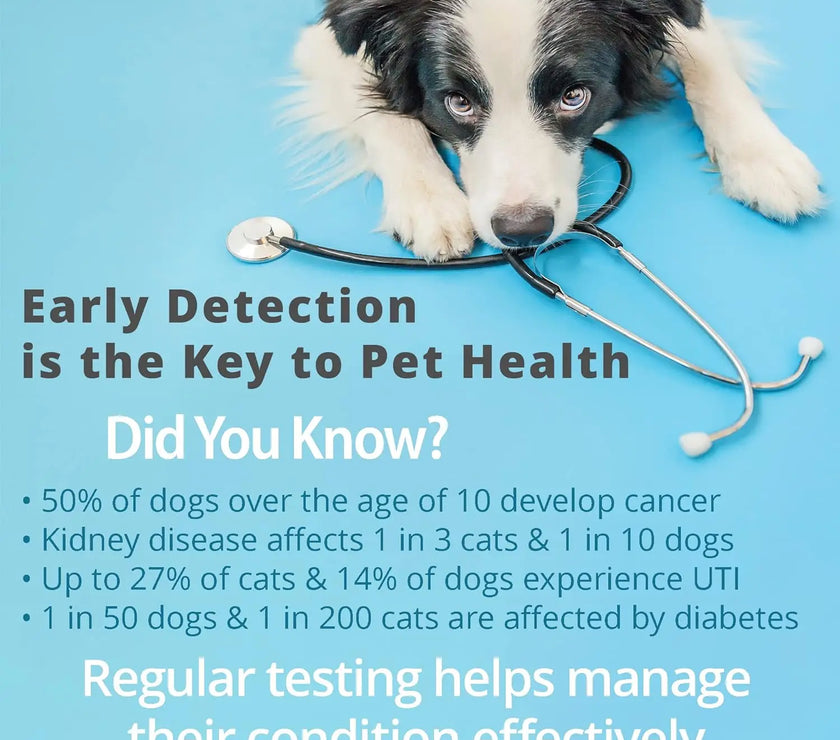 Pet Urine Testing Strips