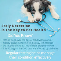 Pet Urine Testing Strips