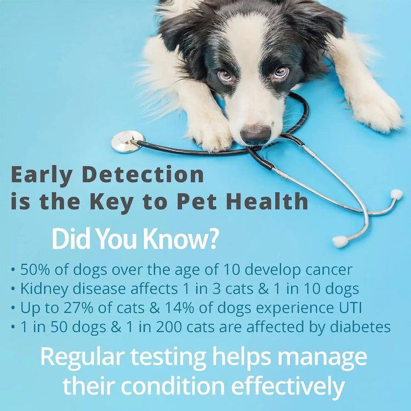 Pet Urine Testing Strips