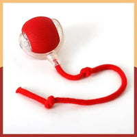 Interactive Dog Toys Rechargeable