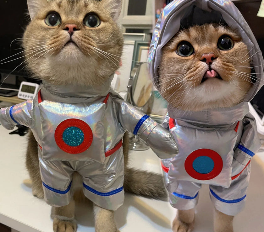 Funny Pet Clothes for Dogs