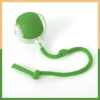 Interactive Dog Toys Rechargeable