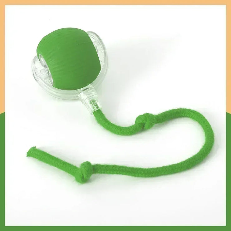 Interactive Dog Toys Rechargeable