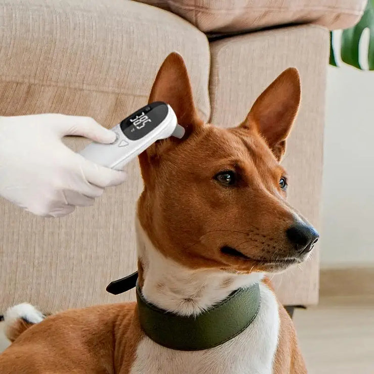Pet Thermometers For Dogs