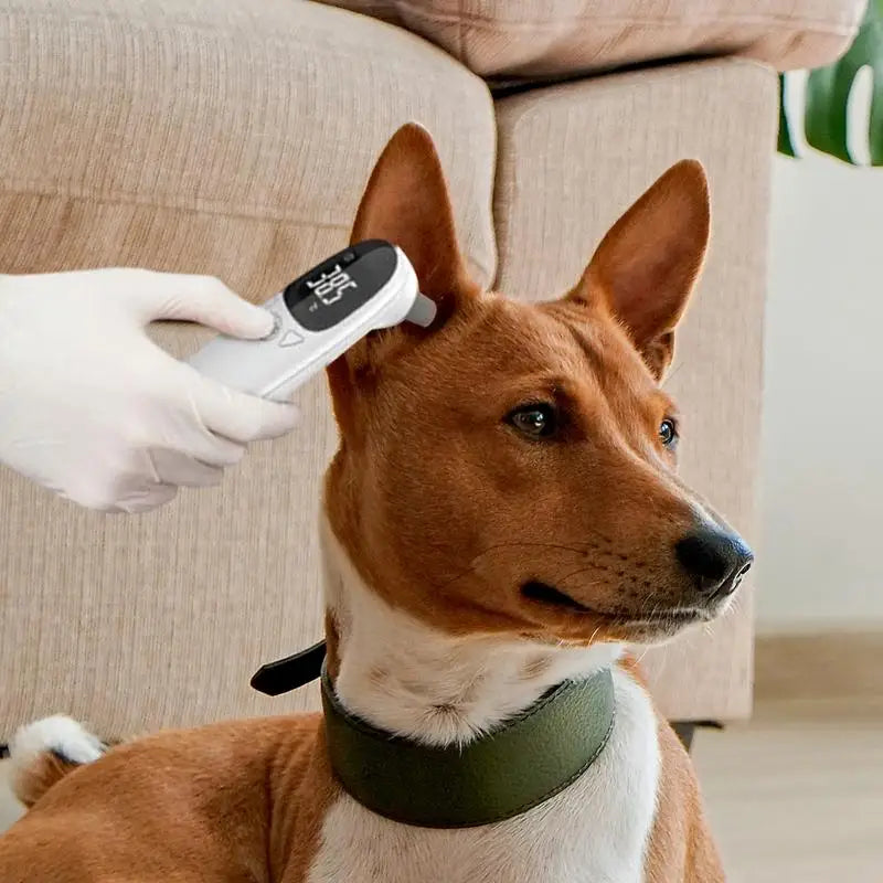 Pet Thermometers For Dogs