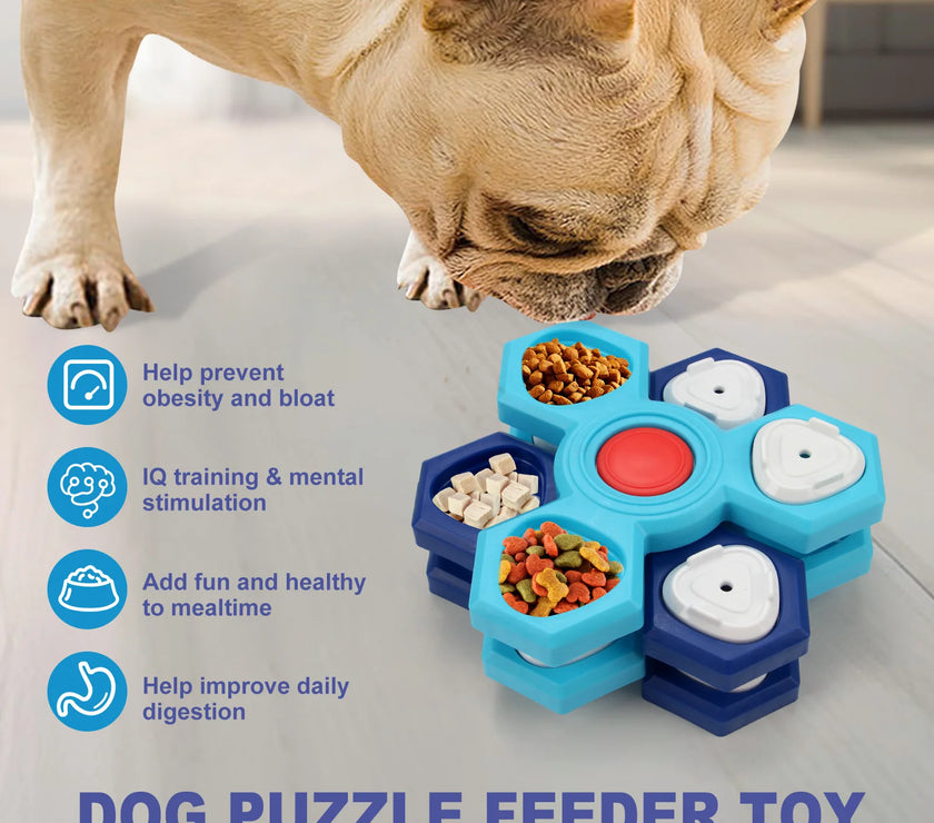 Pet Bowl, Cat Slow Food Bowl