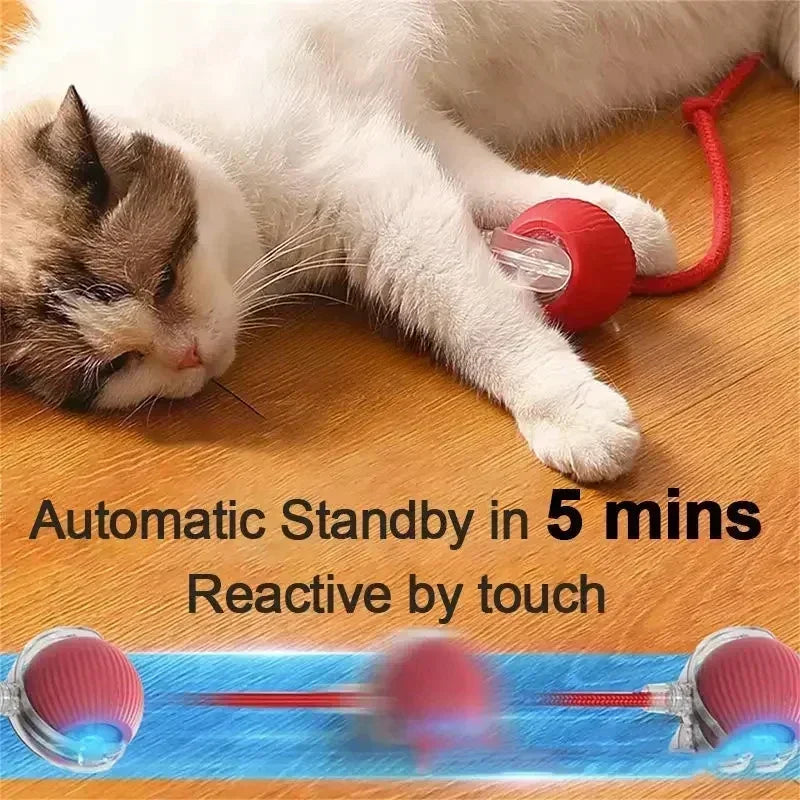 Interactive Dog Toys Rechargeable