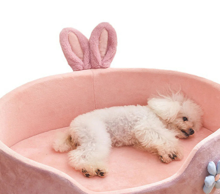 Detachable Pet Bed  Pet Bed