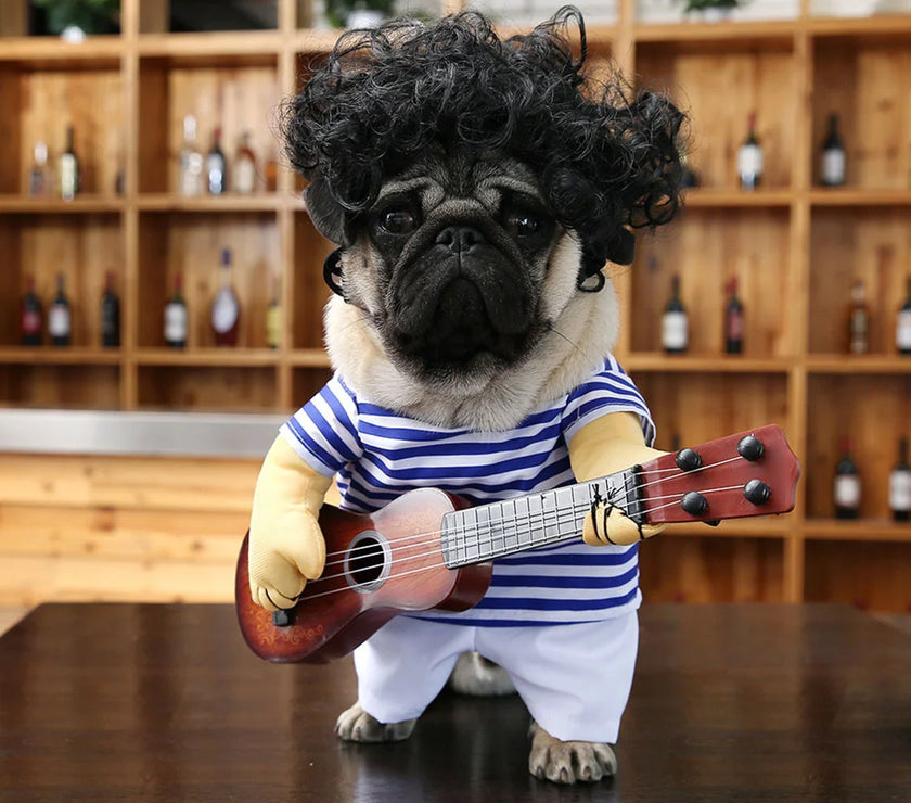 Guitar Playing Costume Pet Clothes