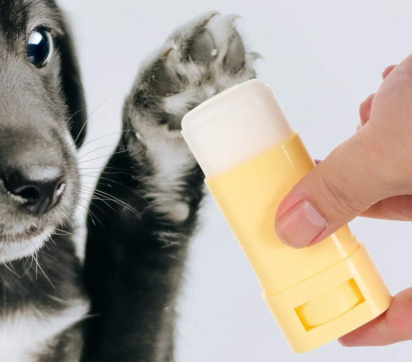 15gPet Paw Balm