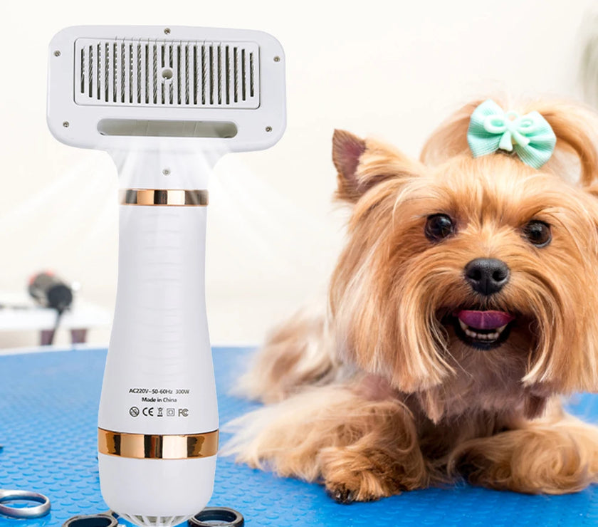 Pet Dog Hair Dryer 2-in-1 Blow Dryer