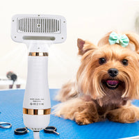 Pet Dog Hair Dryer 2-in-1 Blow Dryer