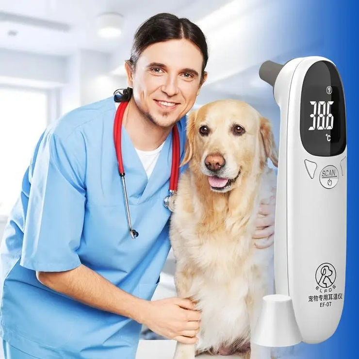 Pet Thermometers For Dogs