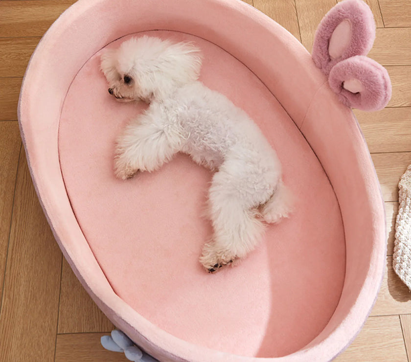 Detachable Pet Bed  Pet Bed