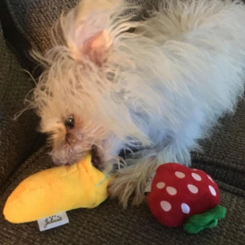 7-piece set of puppy sound toys