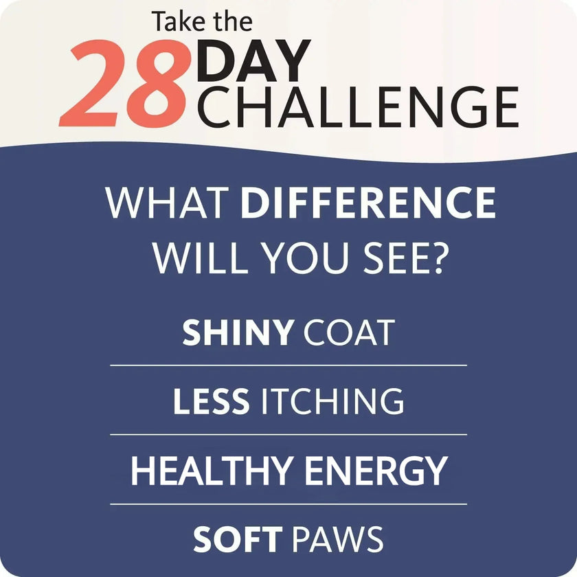 200ml Salmon Fish Oil for Pets