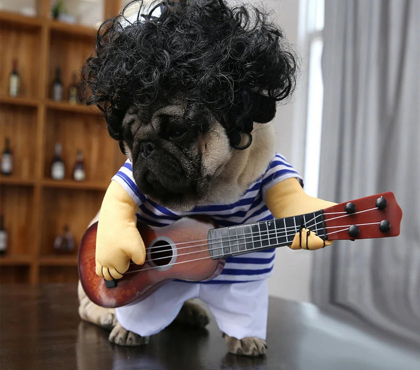 Guitar Playing Costume Pet Clothes