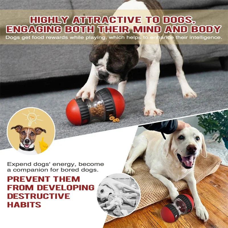 Dog Toys Increase Intelligence Toys
