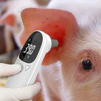 Pet Thermometers For Dogs