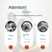 Pet probiotics regulate stomach