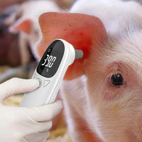 Pet Thermometers For Dogs