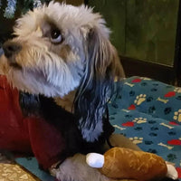 7-piece set of puppy sound toys