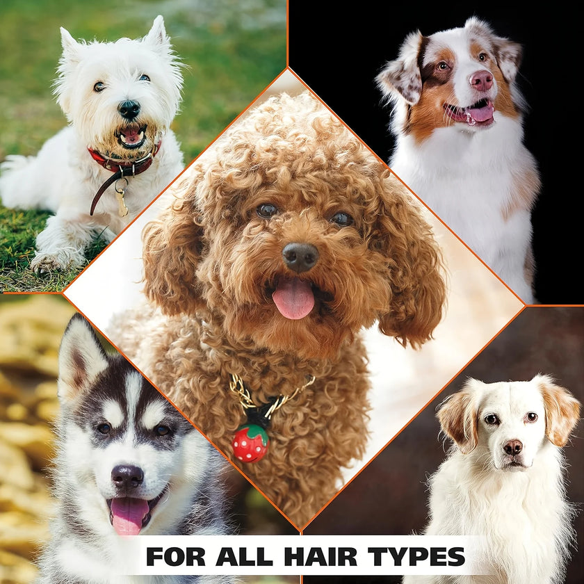 Pet Bath Gel,Pet Shampoo,Cat and Dog Bath Gel