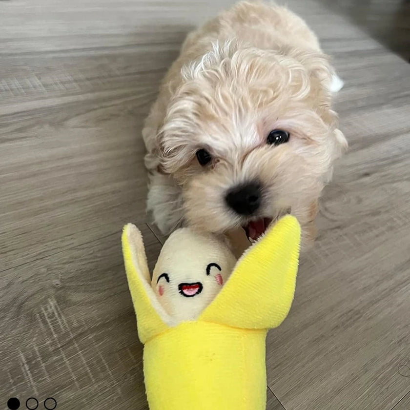 7-piece set of puppy sound toys