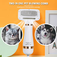 Pet Dog Hair Dryer 2-in-1 Blow Dryer