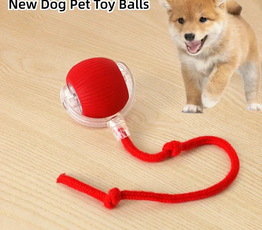 Interactive Dog Toys Rechargeable