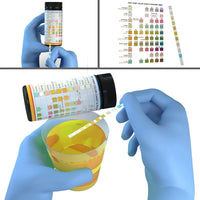 Pet Urine Testing Strips