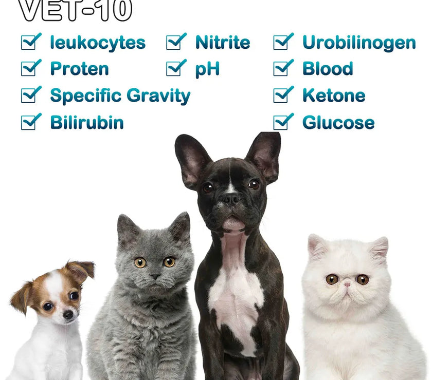 Pet Urine Testing Strips