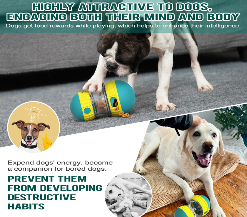 Interactive Dog Toys