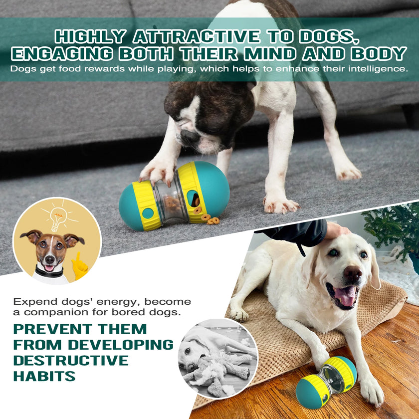 Interactive Dog Toys