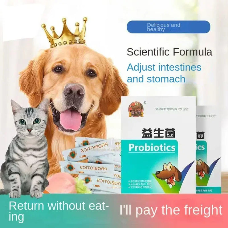 Pet probiotics regulate stomach