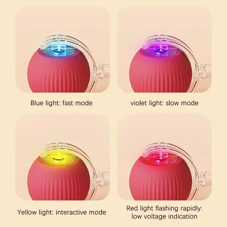 Interactive Dog Toys Rechargeable