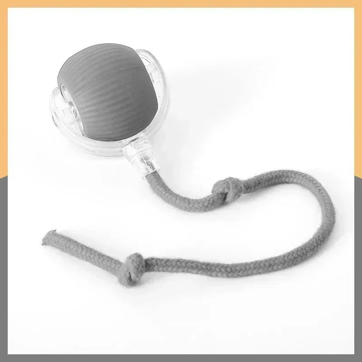 Interactive Dog Toys Rechargeable