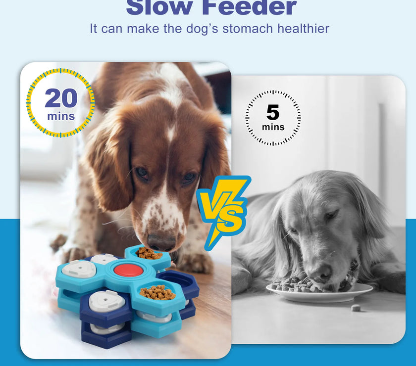Pet Bowl, Cat Slow Food Bowl
