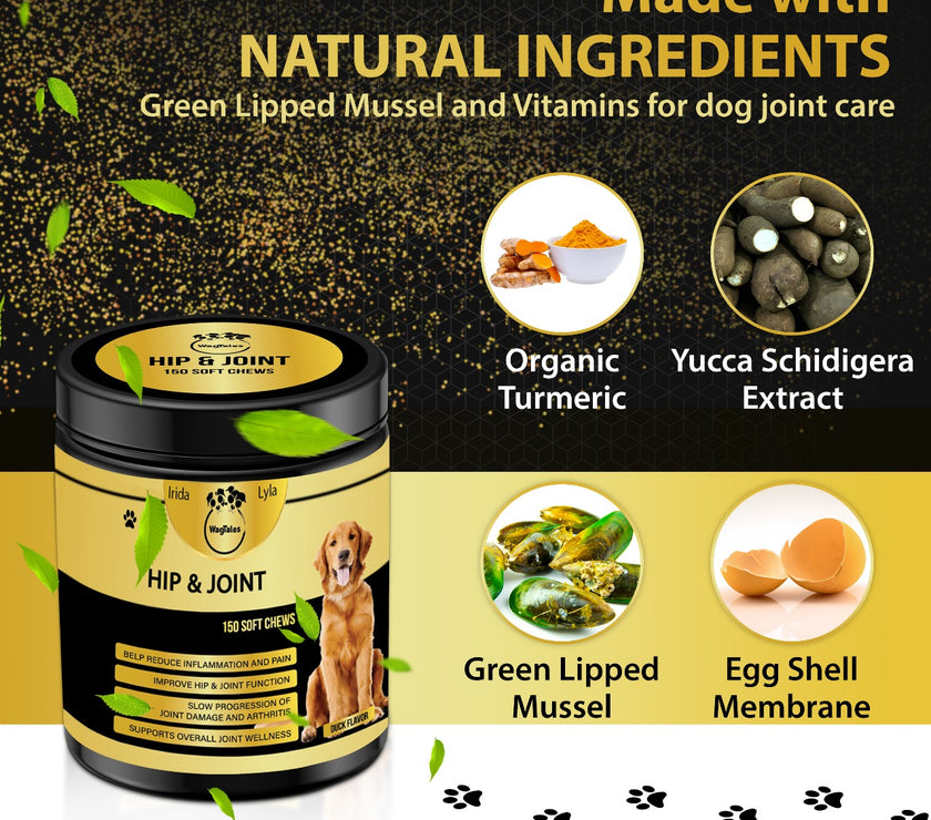 WagTales | Hip and Joint Health | Dog Joint Supplement Health
